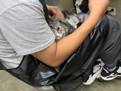 -PETKIT小佩宠物·低压洗护(国顺东路店)