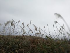 -山王坪喀斯特国家生态公园