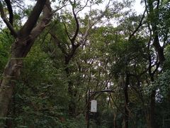 -广州市白云山风景名胜区