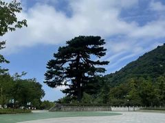 -秦岭终南山世界地质公园翠华山景区