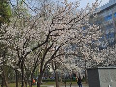 -皇城根遗址公园-东安门遗址