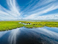 -花湖生态旅游区