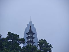 -锦泓老字号猪脏粉(东联大厦店)