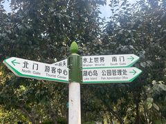 -青年湖公园水上世界