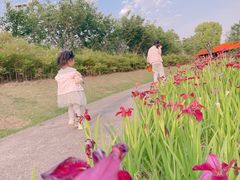 -皇粮浜湿地公园