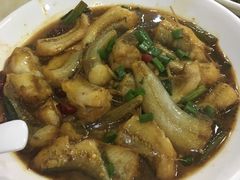 -红灯笼龙凤饭店(宁波老字号店)