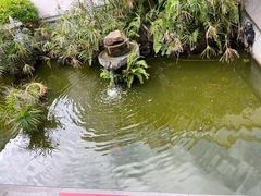 -海南大院(海甸岛店)