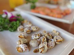 -天然居·漳港海鲜·海景餐厅(南澳总店)