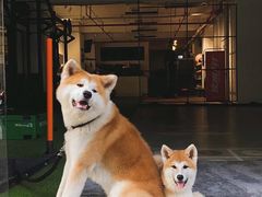 -YCHL Studios健身工作室(市二宫店)