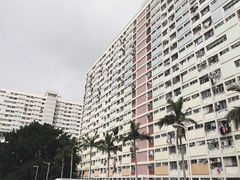 -彩虹村