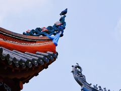 -黔灵山公园