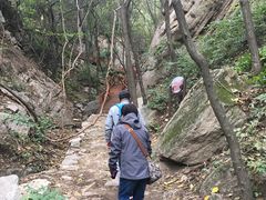 -大岭沟猕猴桃谷风景区