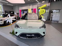 -上海浦东smart汽车全功能店(金桥店)