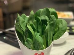 小青菜-七欣天(浦东羽山乐坊店)