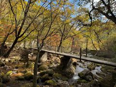 -丹东天桥沟景区