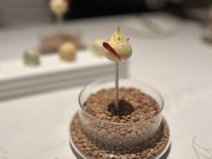-王府半岛酒店·Jing餐厅