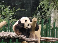 -沈阳森林动物园