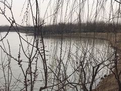 -东郊湿地公园