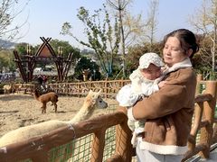 -无锡动物园·太湖欢乐园