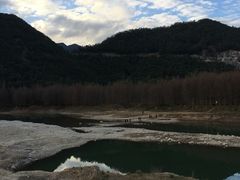 -小芝红树林