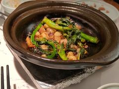 -大榕树下顺德菜(融创茂店)