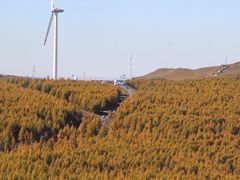 -塞罕坝国家级自然保护区