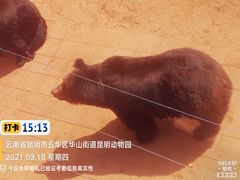 -昆明动物园