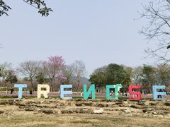 -天适樱花悠乐园