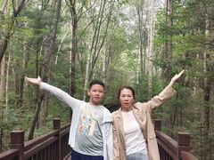 -汤旺河林海奇石景区