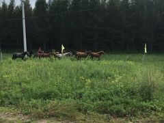 景点-塞罕坝国家级自然保护区