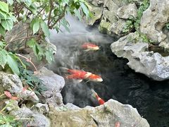 -鲤院·新中式美学·庭院餐厅(夫子庙店)