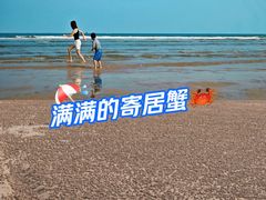 -日照海滨国家森林公园