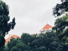 -八大关景区
