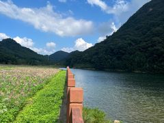 -广州市石门国家森林公园