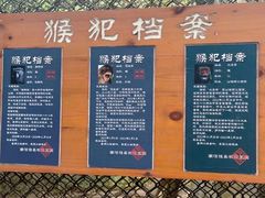 -南湾猴岛+椰田古寨一日游