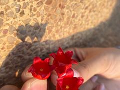 -厦门方特东方神画