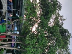 -淇沙湾渔村餐厅