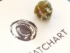 -36抹茶·千层与鲜果茶(欢乐海岸店)