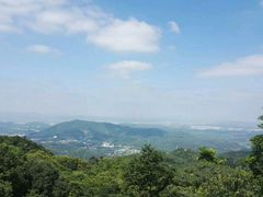 -广州市帽峰山景区