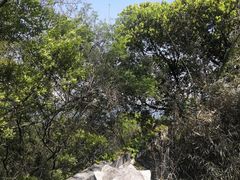 -苏州上方山国家森林公园