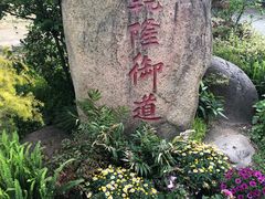 -苏州上方山国家森林公园