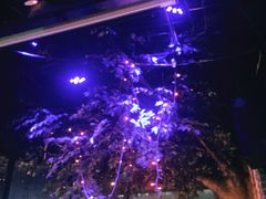 -赢吧Bliss音乐酒吧