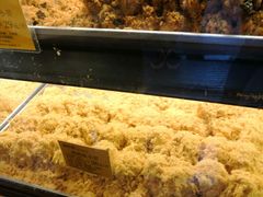 -鲍师傅糕点(江苏路店)