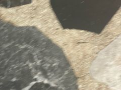-四道菜·福建海蛎煎(世欧广场店)