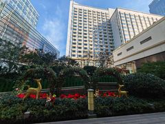 -青岛香格里拉·鱼跃地中海西餐厅