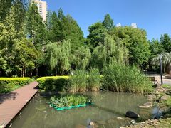 -苏州河梦清园环保主题公园