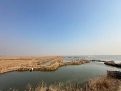 -盐城丹顶鹤湿地生态旅游区