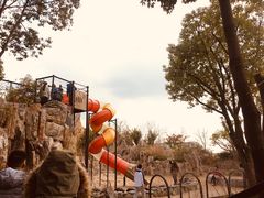 -嘉北郊野公园