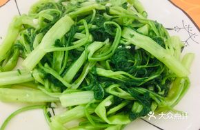 Stir-Fried Bok Choy with Garlic