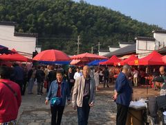 -长兴慧子土特产茶行